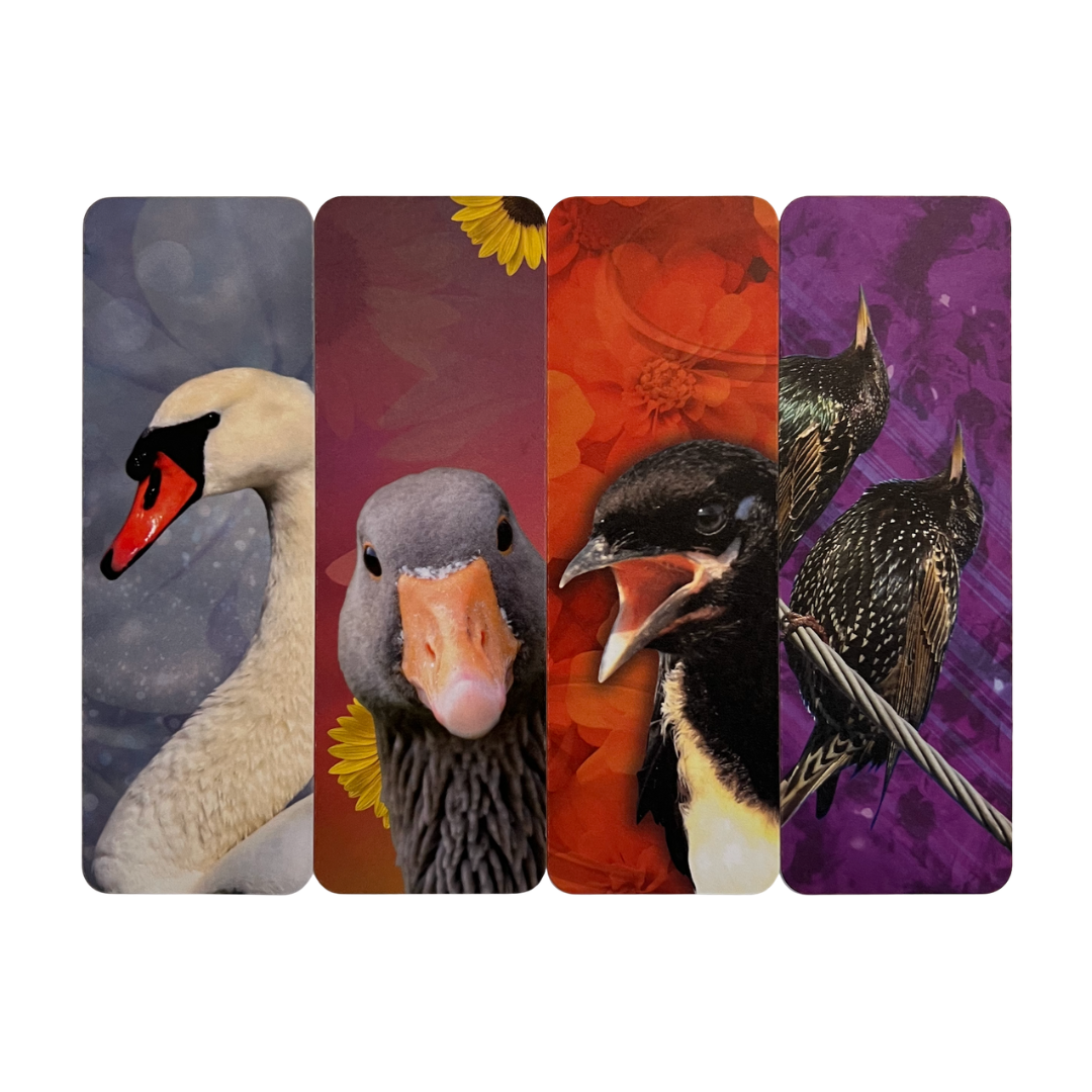 Bird Bookmarks - Colorful, Matte