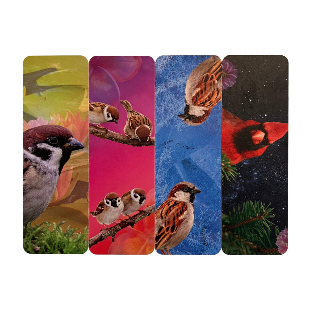 Bird Bookmarks - Colorful, Matte