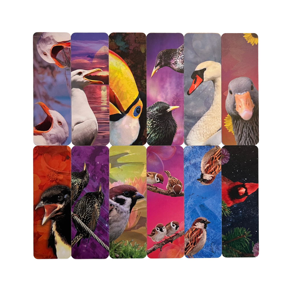 Bird Bookmarks - Colorful, Matte