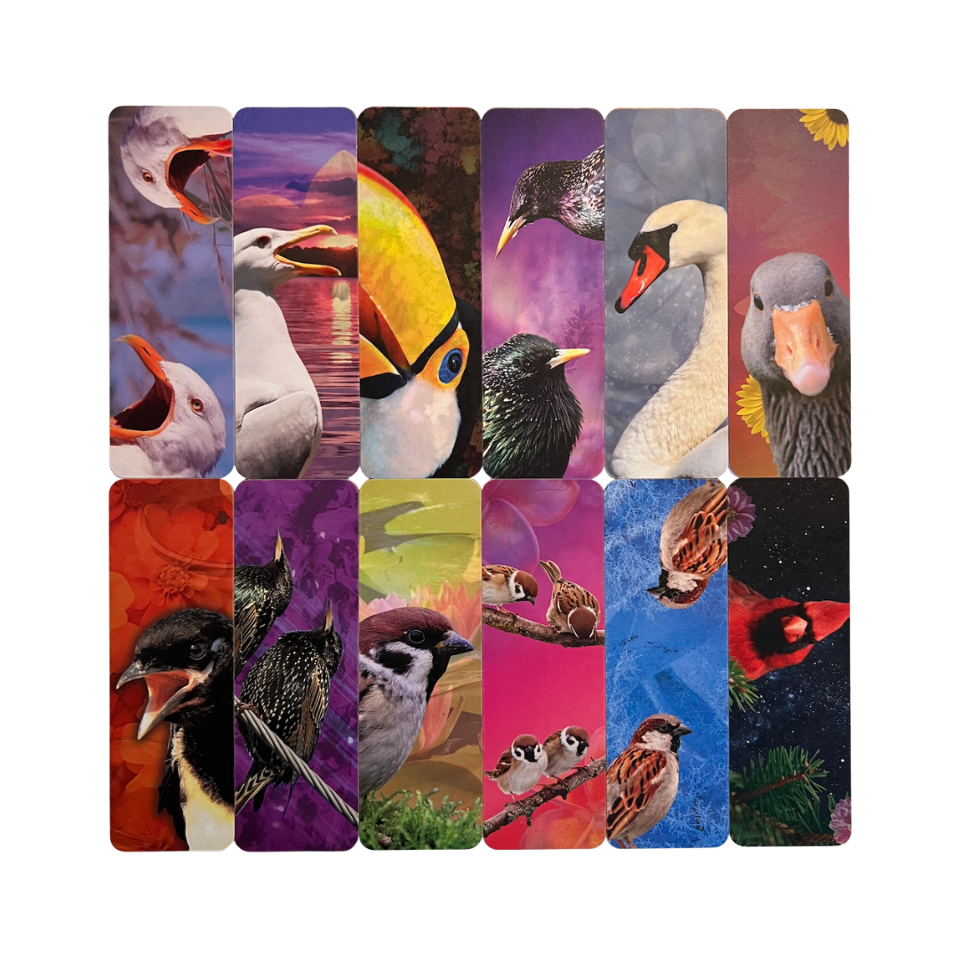 Bird Bookmarks - Colorful, Matte